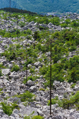 Strommasten in der Felswüste Marocche, Trentino, Italien