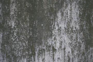 Photo of a stone texture.