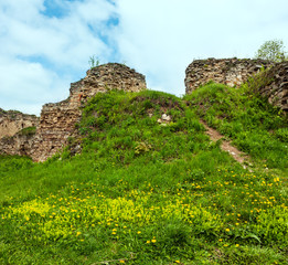 Fototapeta na wymiar Jazlovets castle spring ruins, Ternopil Region, Ukraine.