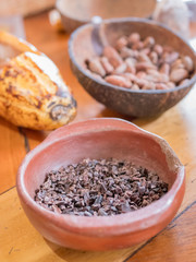 Chocolat, cacao et cabosse