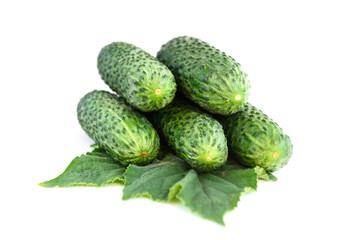 Cucumbers isolated on white background.