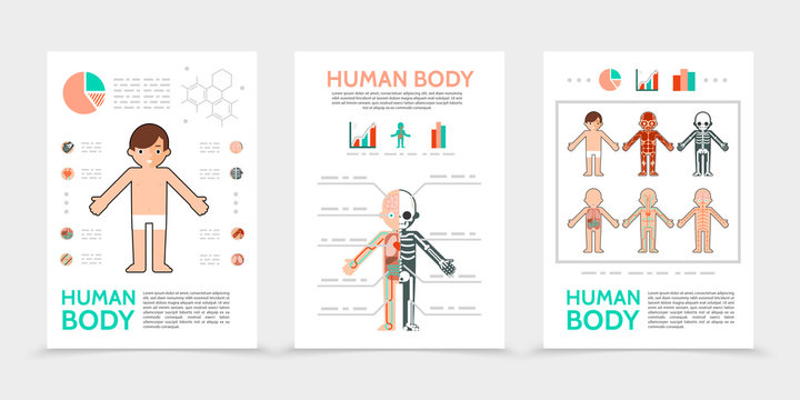 Flat Human Body Posters