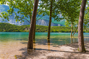 Obraz na płótnie Canvas Bäume am Ufer des Lago di Cavedine, Arco, Gardasee, Trentino, Italien