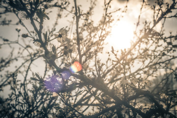 Frühling in Brandenburg