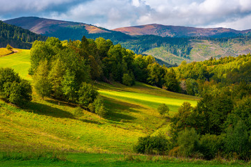 glade among the forest in mountains. beautiful autumn landscape of Carpathians.