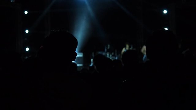 Shot of some cheering fans at a free live concert in music festival, some visible noise due high ISO, soft focus, also normal speed, Full HD 1080p.