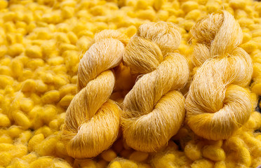 silkworm cocoon hand made of raw thread silk clothing yellow silkworm