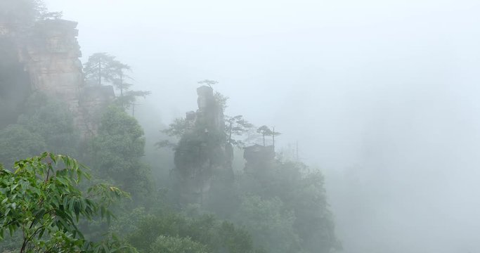 Zhangjiajie Forest Park. Gigantic pillar mountains rising from the canyon. Hunan province, China.