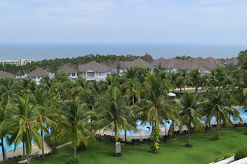 coconut plant and pool at resort in muine, vietnam