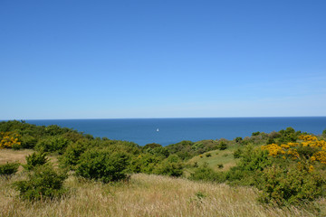 Aussicht - Insel Hiddensee, Rügen