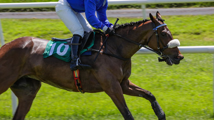 close up on running race horse