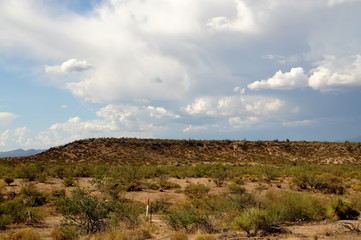 Sonora Desert Arizona