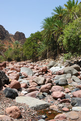 Fototapeta na wymiar Dead riverbed between rocks, Socotra, Yemen