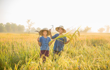 Fototapeta na wymiar Boys and girls holding a scythe with rice paddies in rice fields.