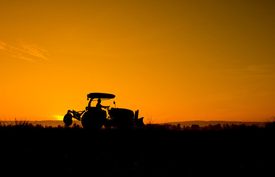 Fototapeta Silhouette Farmer driving a tractor in the field.  
