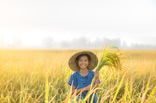 Girl holding rice Happy in the yellow rice field.
