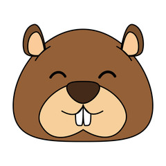 cute canadian marmot icon vector illustration design