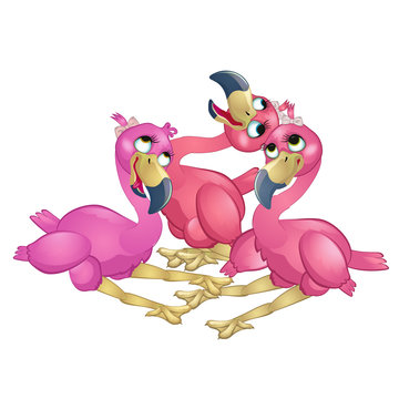 Three lovely girls Flamingo isolated on white background. Vector cartoon close-up illustration.