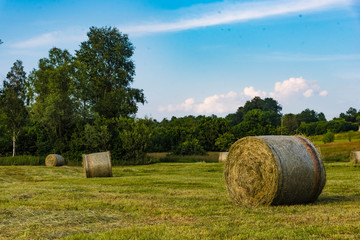 Heuballen Oberbayern