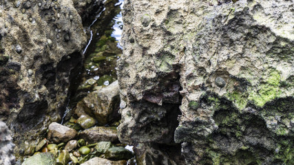Clear and crystalline sea with rocks