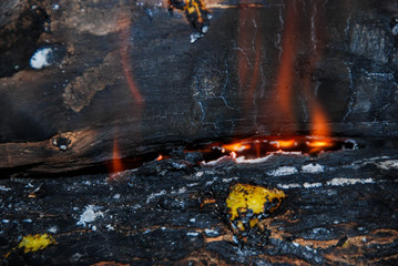 Wood in the burning fireplace