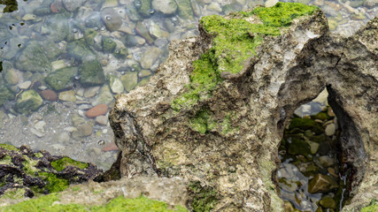 Clear and crystalline sea with rocks