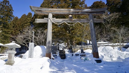 戸隠神社中社の鳥居前から神社方向を見る