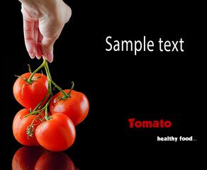 Fresh ripe tomato in female hand. Picture with space for your text.