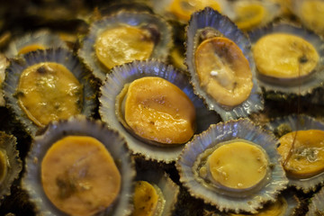 Fresh fish at market in Lisbon