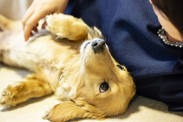 若い女性と室内犬が横に並んで寝ころがる