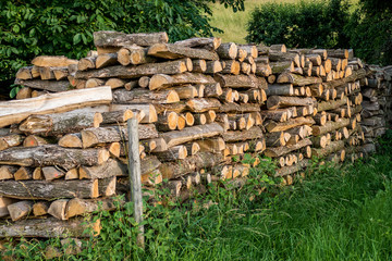 Brennholzlager auf Wiese © focus finder