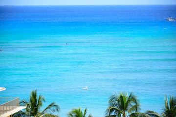 Waikiki Blue