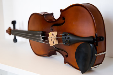 Fototapeta premium violin