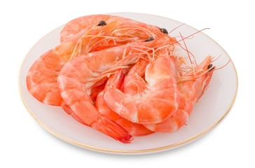 Cooked Prawns or Tiger Shrimps in White Plate