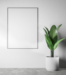 White empty room interior, poster and plant