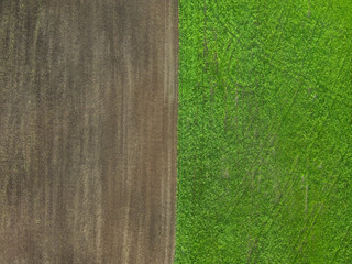 agricultural fields with a bird's eye view