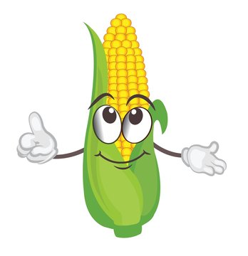 cute corn character. cartoon vector illustration