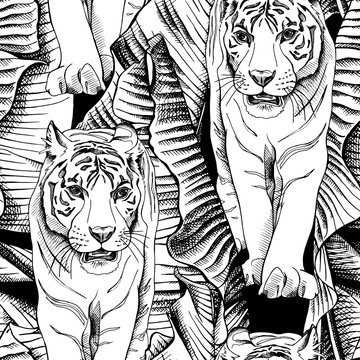 Seamless pattern with image of a tiger walking in banana leaves. Vector black and white illustration.