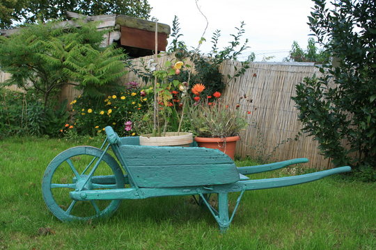 fleur jardin