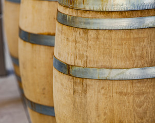 Barrels in the wine cellar