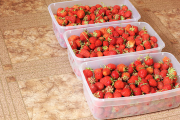 Strawberry. Strawberries in boxes.