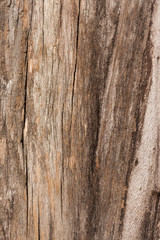 Natural brown old wooden facture with vertical cracks as background.