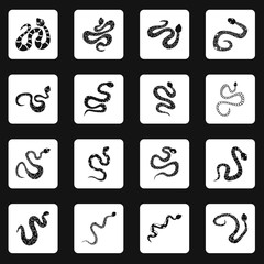 Snake icons set in white squares on black background simple style vector illustration
