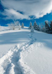 Winter mountain snowy landscape