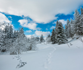 Fototapeta premium Winter mountain snowy landscape
