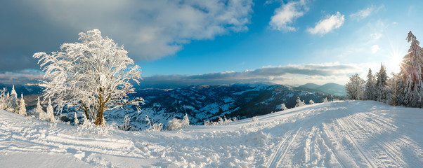 Winter evening sunshiny mountain snowy landscape © wildman