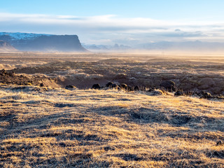 Natural view in morning in Iceland