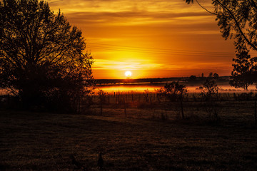 Amanecer campestre
