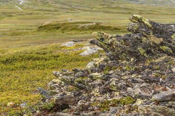 Rock Formation cover with lichens on a heath