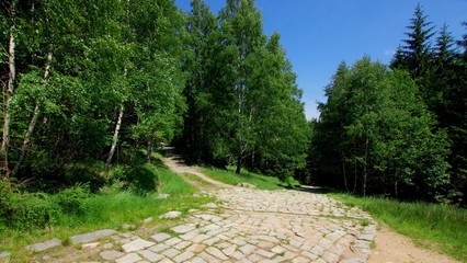 Brukowana droga prowadząca przez las w Karkonoszach, polskich górach - paśmie Sudetów
